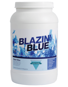 Blazin Blue CC29A 1645-7564